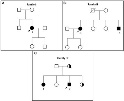 Mast Syndrome Outside the Amish Community: SPG21 in Europe